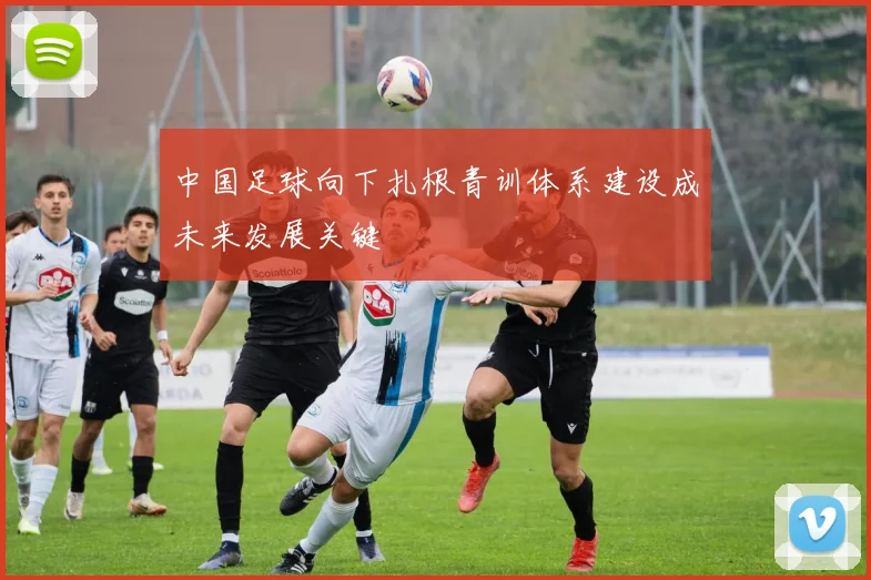 中国足球向下扎根青训体系建设成未来发展关键