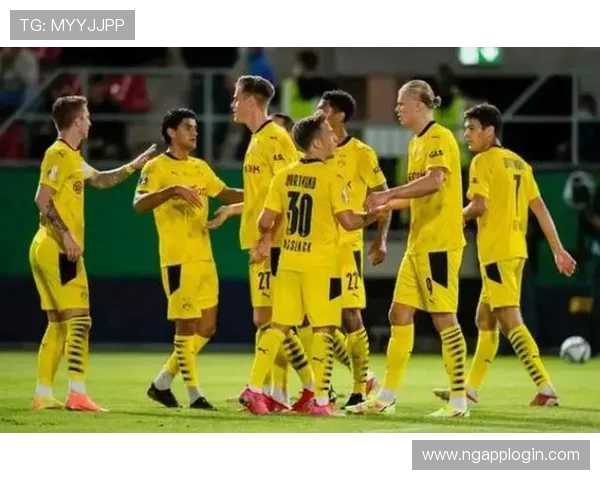 德甲联赛中具体有哪些知名球队详尽介绍 德甲联赛中具体有哪些知名球队详尽介绍