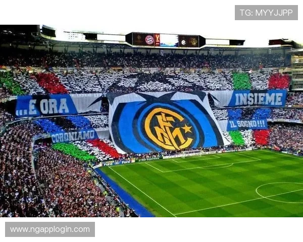 意大利意甲球队全景概览